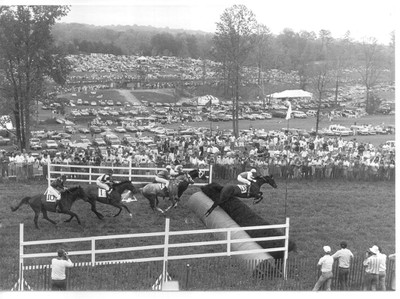 Steeplechase Racing