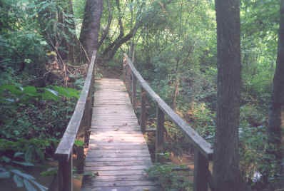 bridge