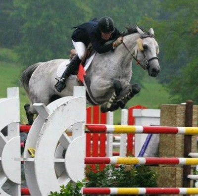 Show Jumping