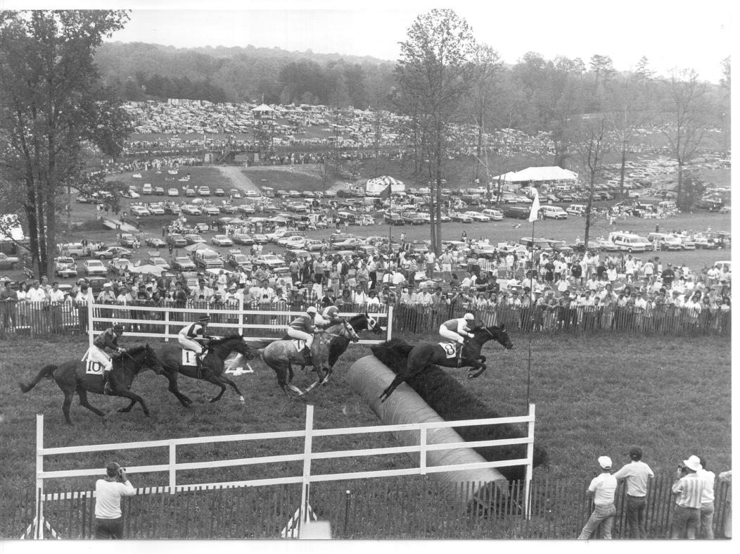 Steeplechase Racing