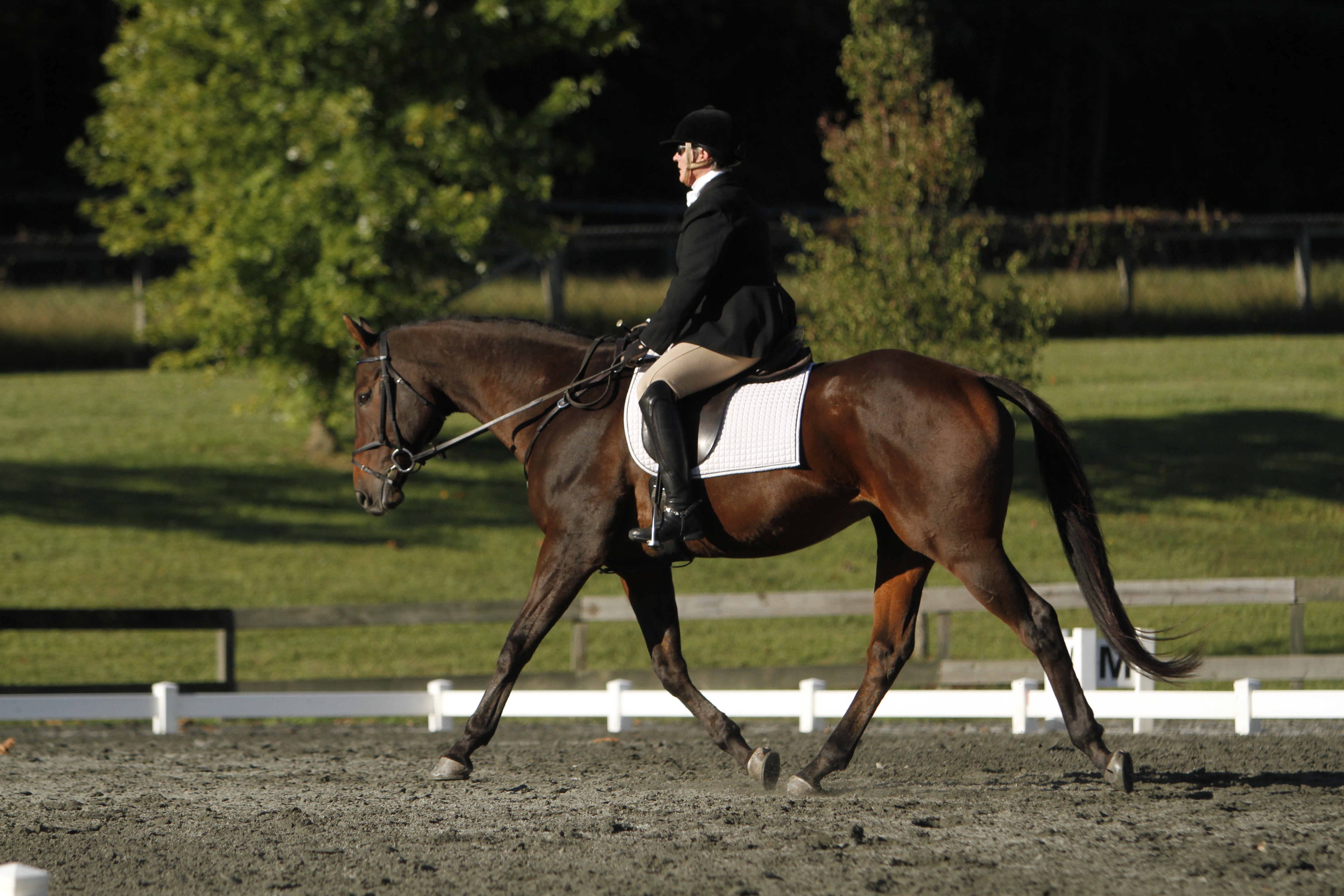 Dressage TRHC Horse Trials 2012