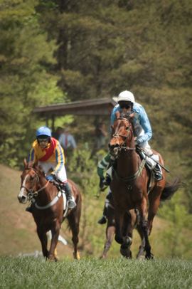 Steeplechase