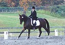 dressagewoman