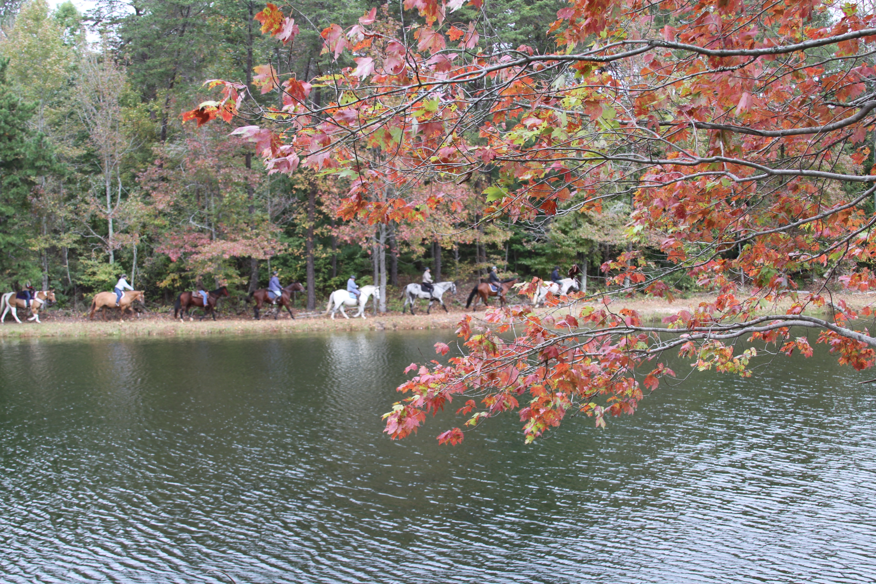 fall ride