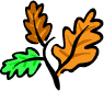 fallleaves.gif