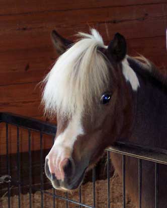 Barn Tour '09-2