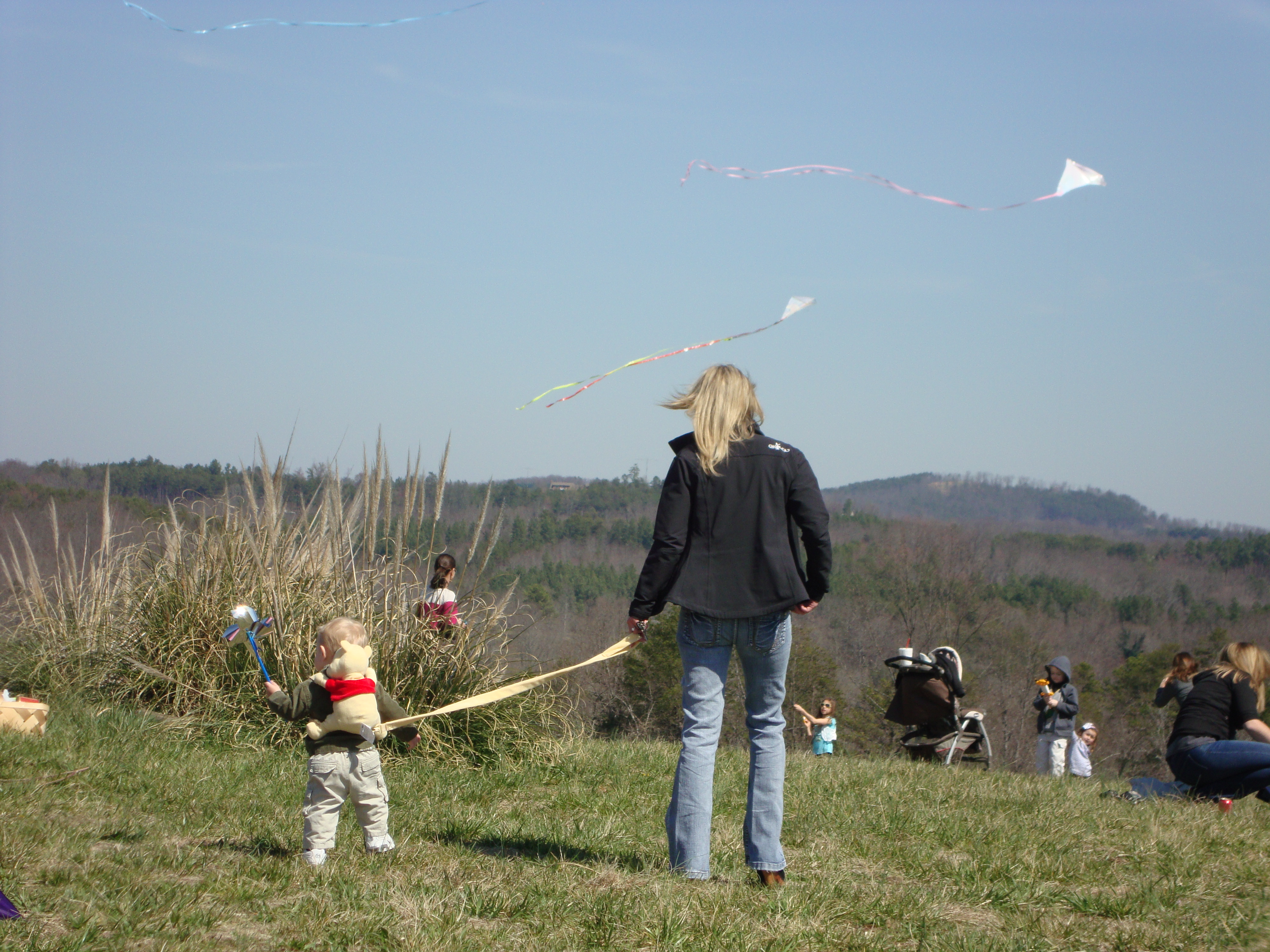 Go Fly Kite