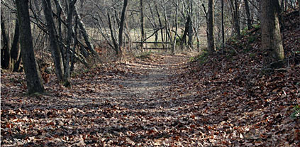 Dec06path