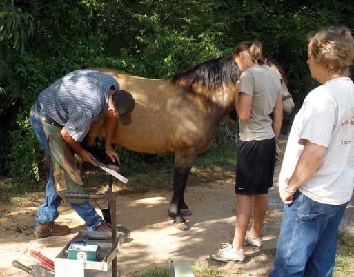 farrier.jpg