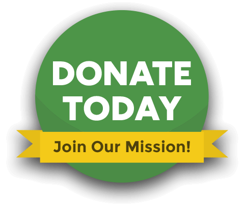 We’re excited to introduce our new online donation page for FENCE!